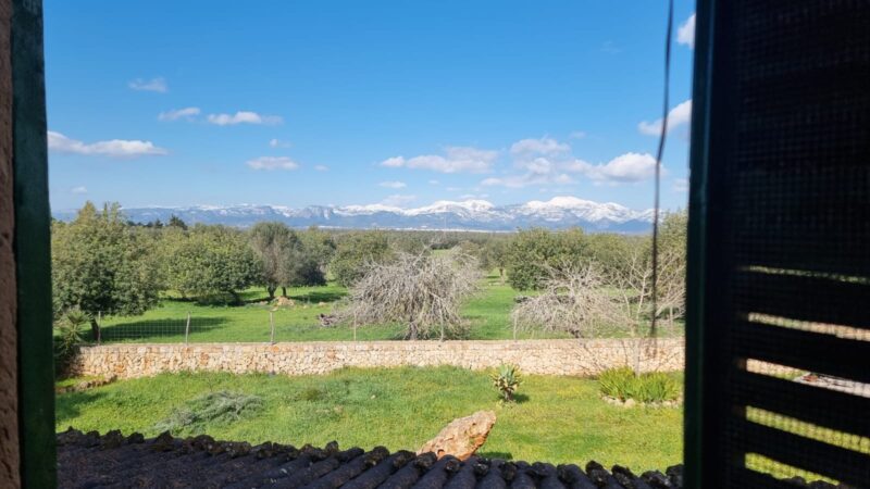 FINCA RÚSTICA EN VENTA EN SINEU. MALLORCA-BALEARES