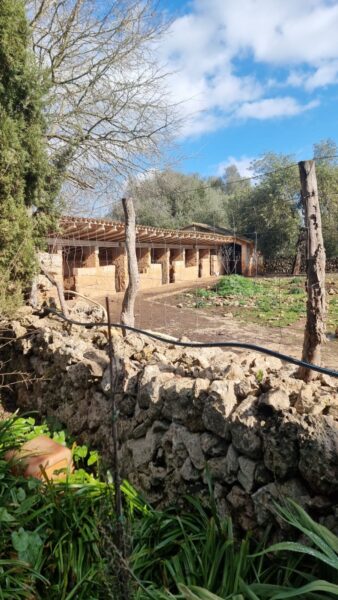 FINCA RÚSTICA EN VENTA EN SINEU. MALLORCA-BALEARES