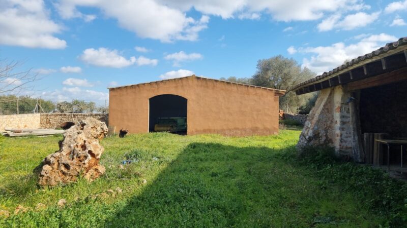 FINCA RÚSTICA EN VENTA EN SINEU. MALLORCA-BALEARES